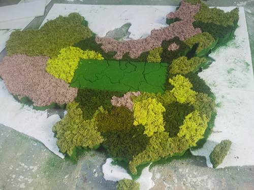 中國地圖綠植模型